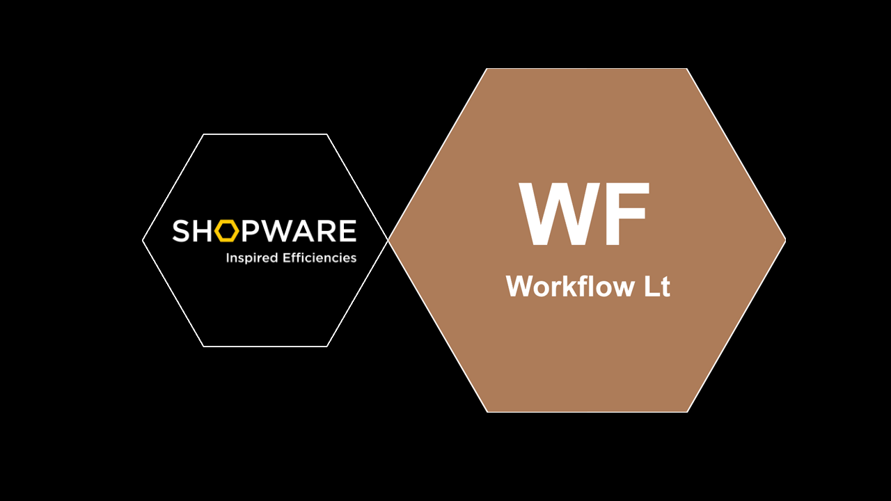 Module Training: Workflow Lite SMT_WFL
